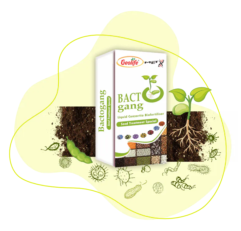 Bactogang - Seed Treatment Special