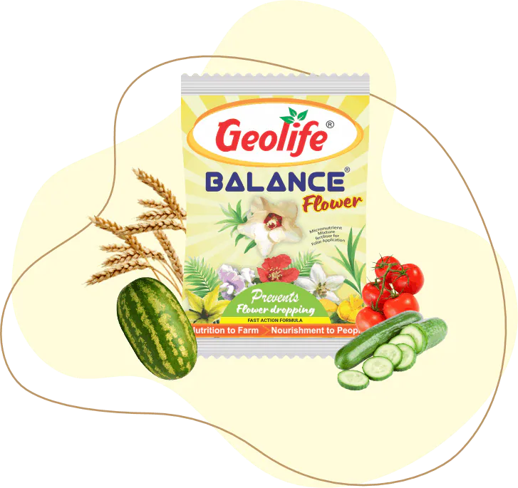 Balance Flower