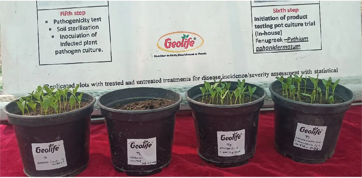 Fenugreek seedling emergence — T1 control, T2 cultural control, T3 No Fungus BE, T4 std. chemical check