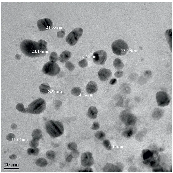 Transmission electron microscopic analysis of silicon nano particles
