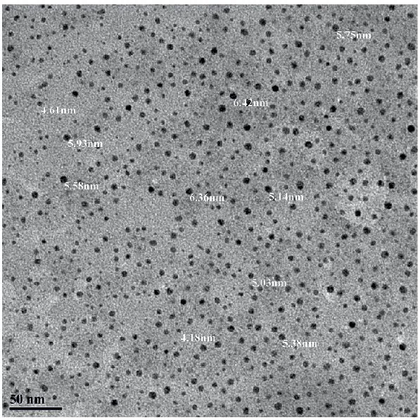 Transmission electron microscopic analysis of silver nano particles