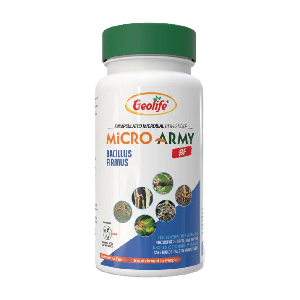 Bacillus Firmus pack
