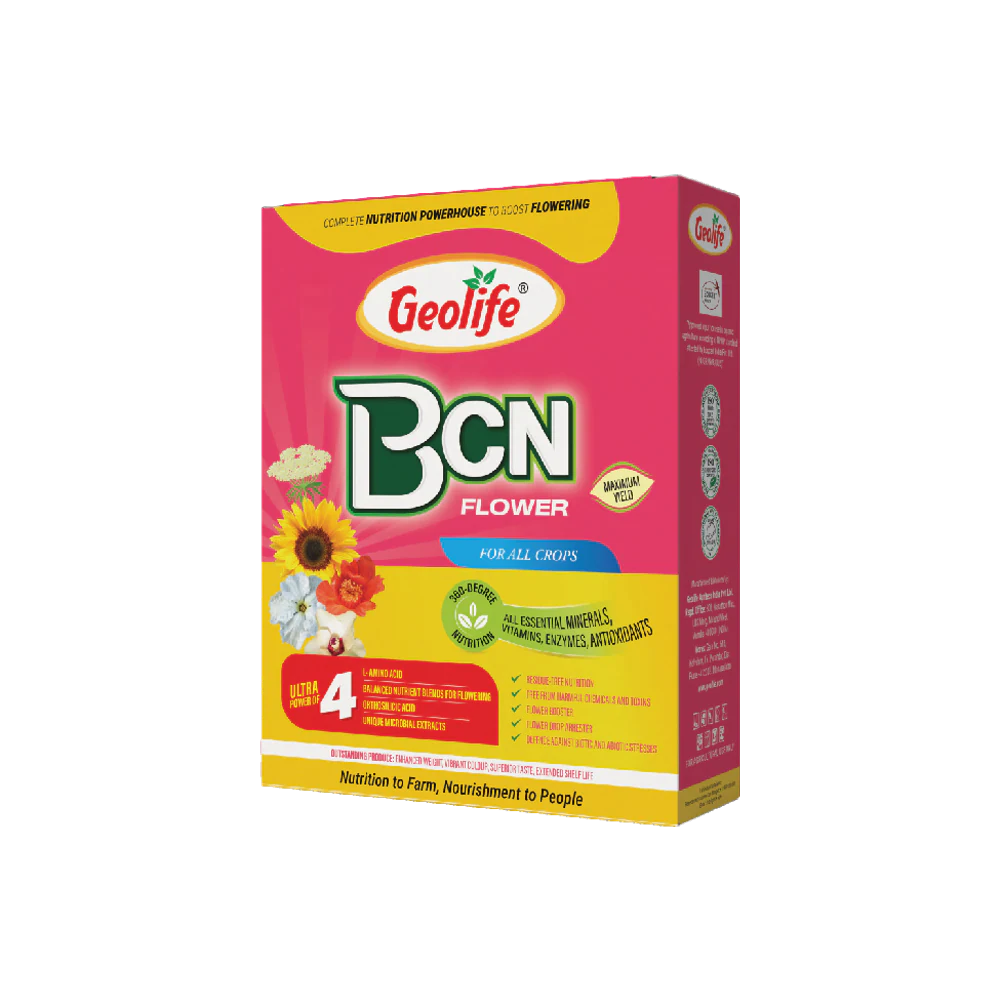 BCN Flower pack