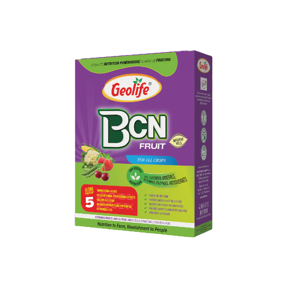 BCN Fruit pack