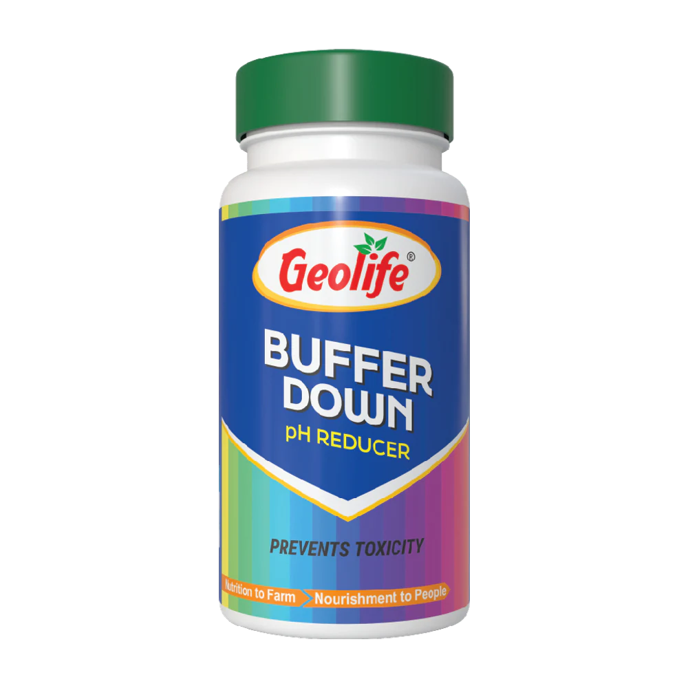Buffer Down