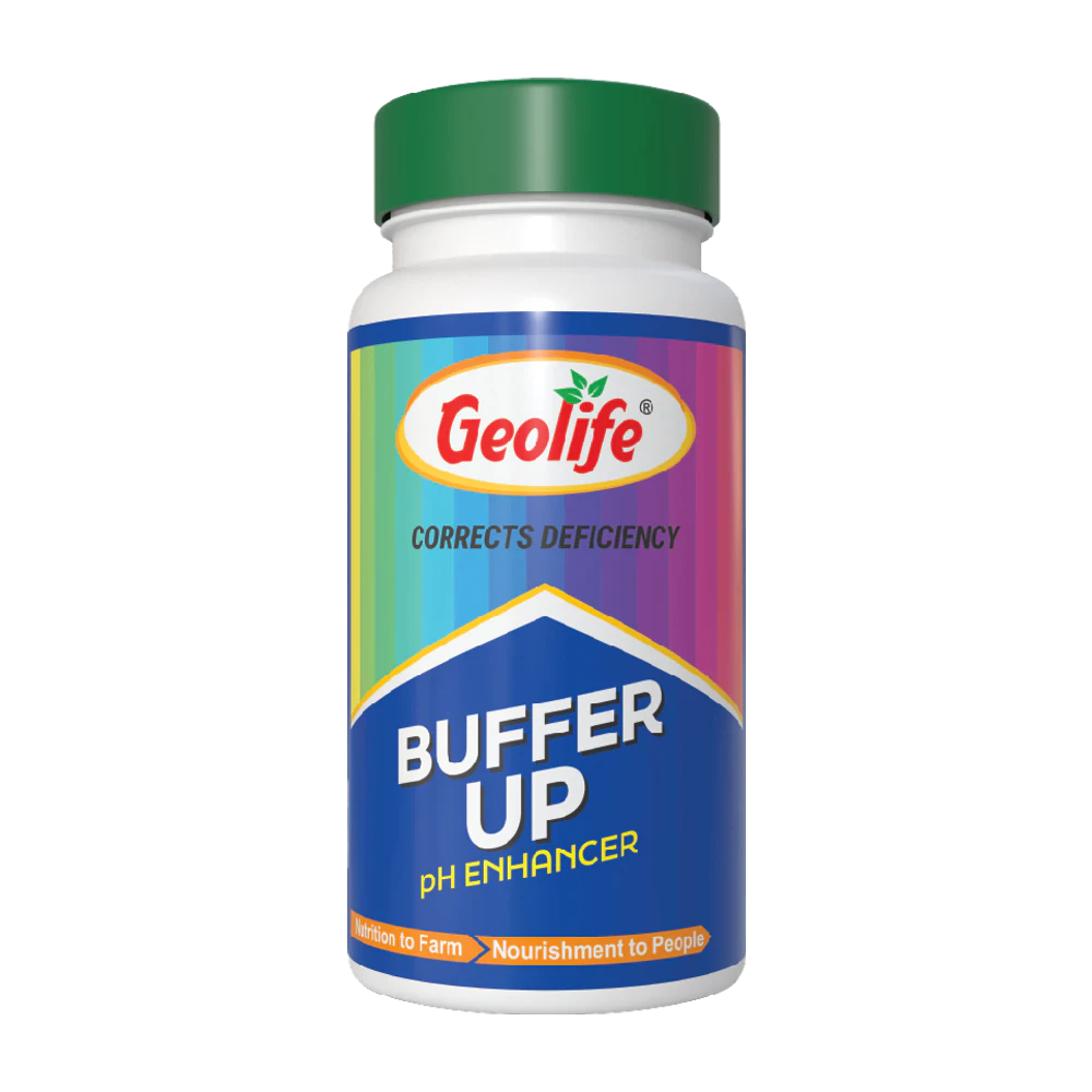 Buffer Up