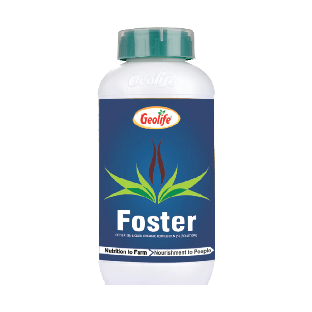 Foster pack
