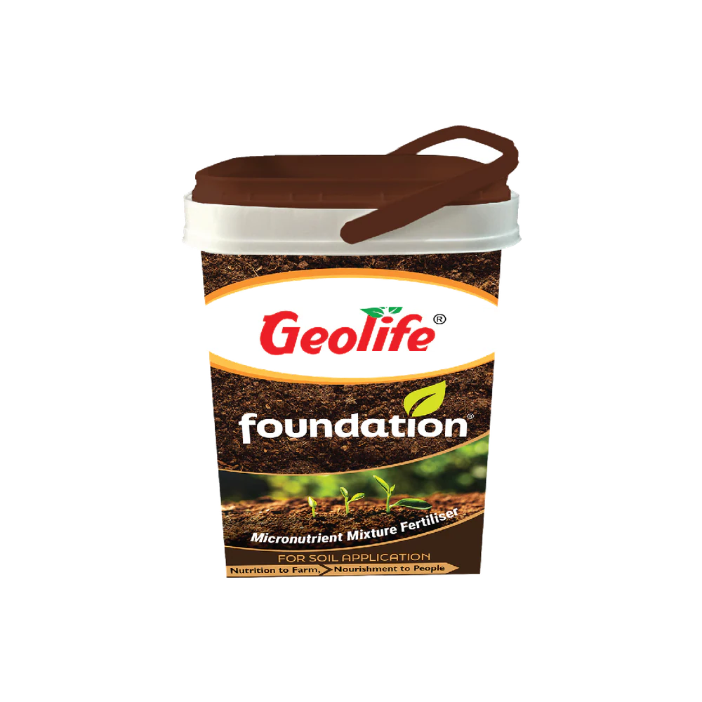 Foundation pack