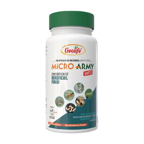Micro Ento pack