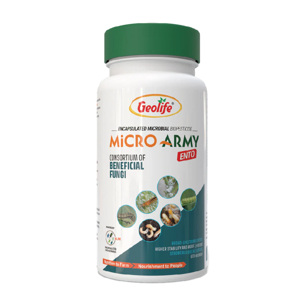 Micro Ento pack
