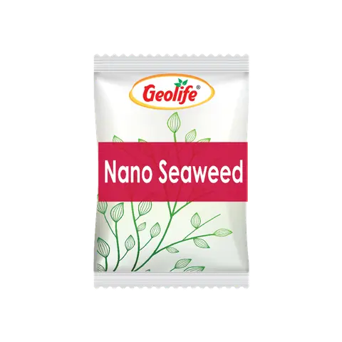 Nano Seaweed pack