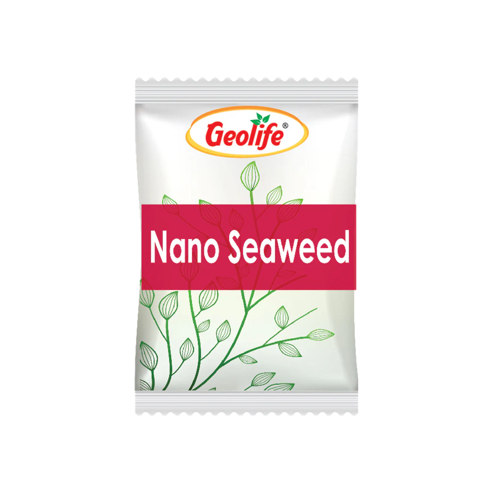 Nano Seaweed pack