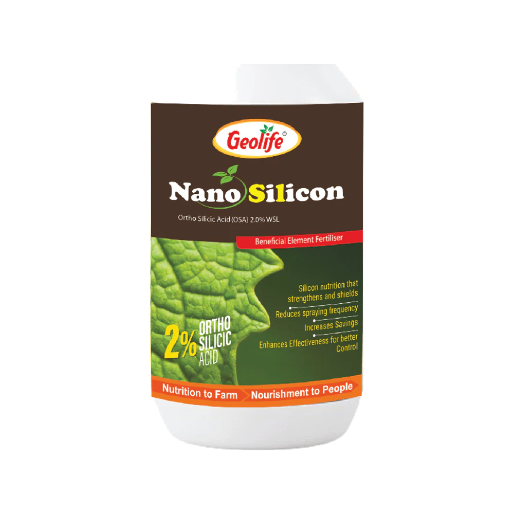 Nano Silicon