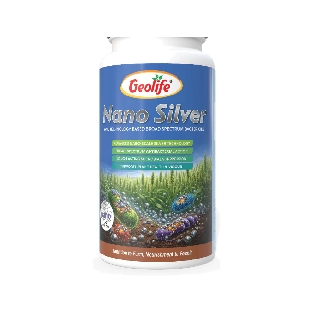 Nano Silver