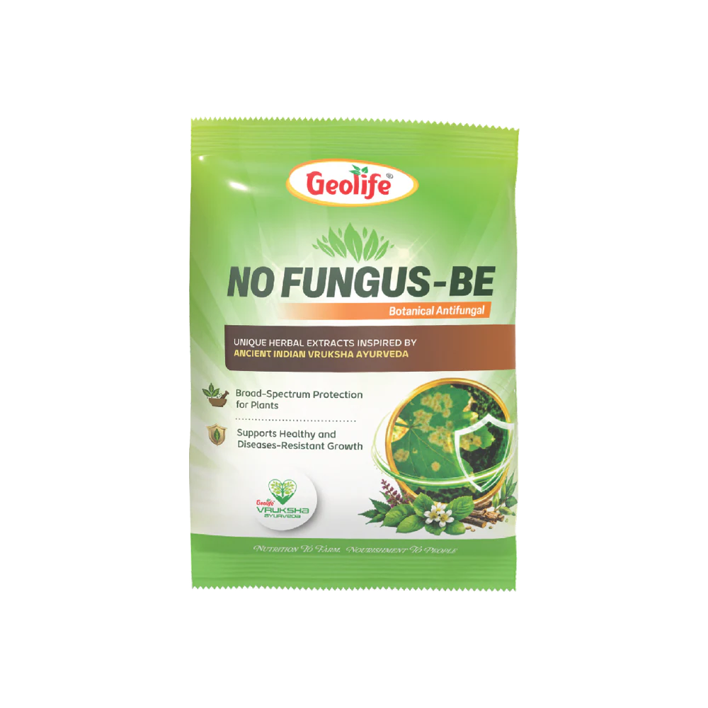 No Fungus BE