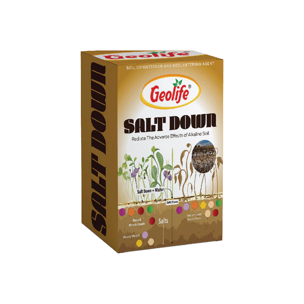 Salt Down pack