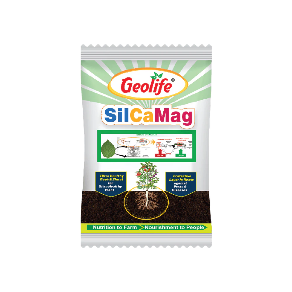 SilCaMag pack