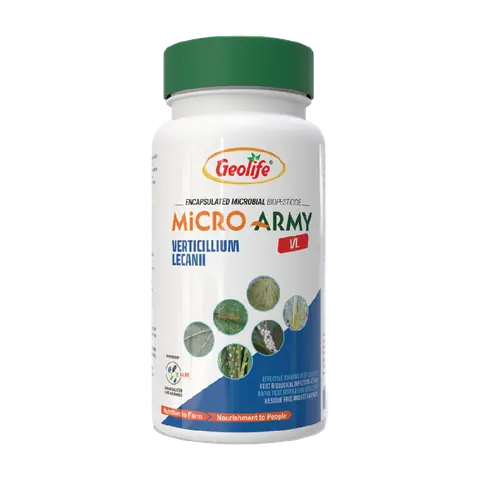 Verticillium lecanii pack