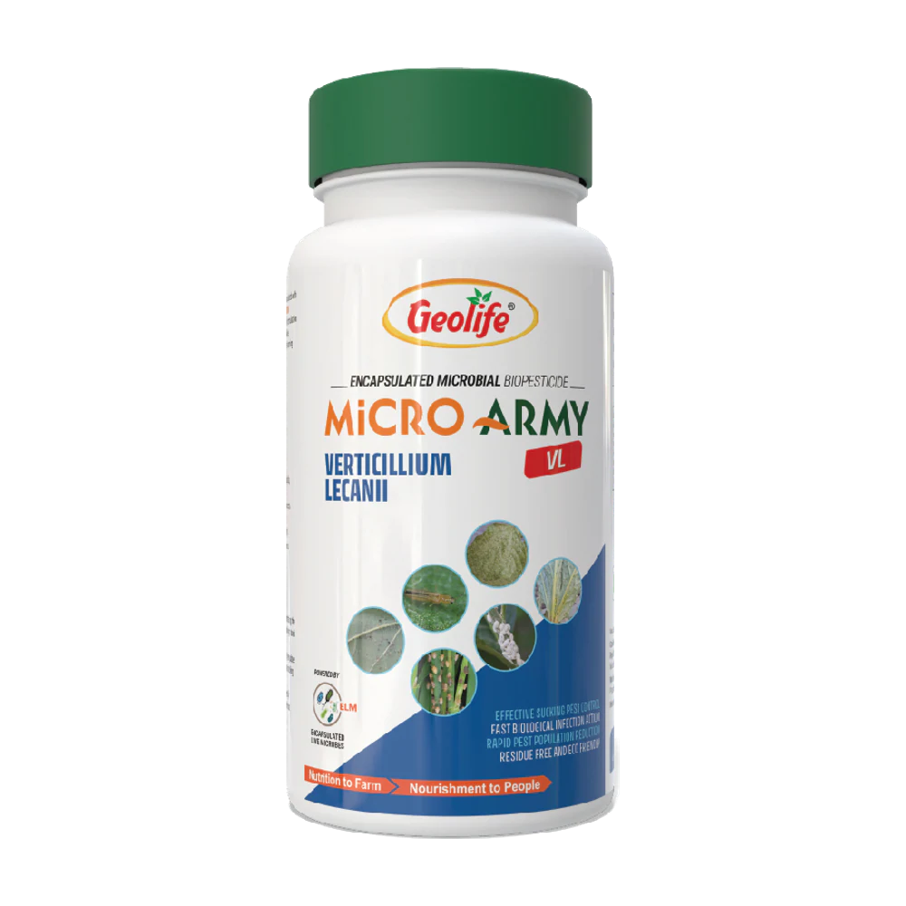 Verticillium lecanii pack