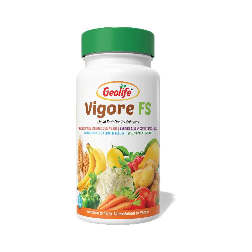 Vigore Fruit Special pack