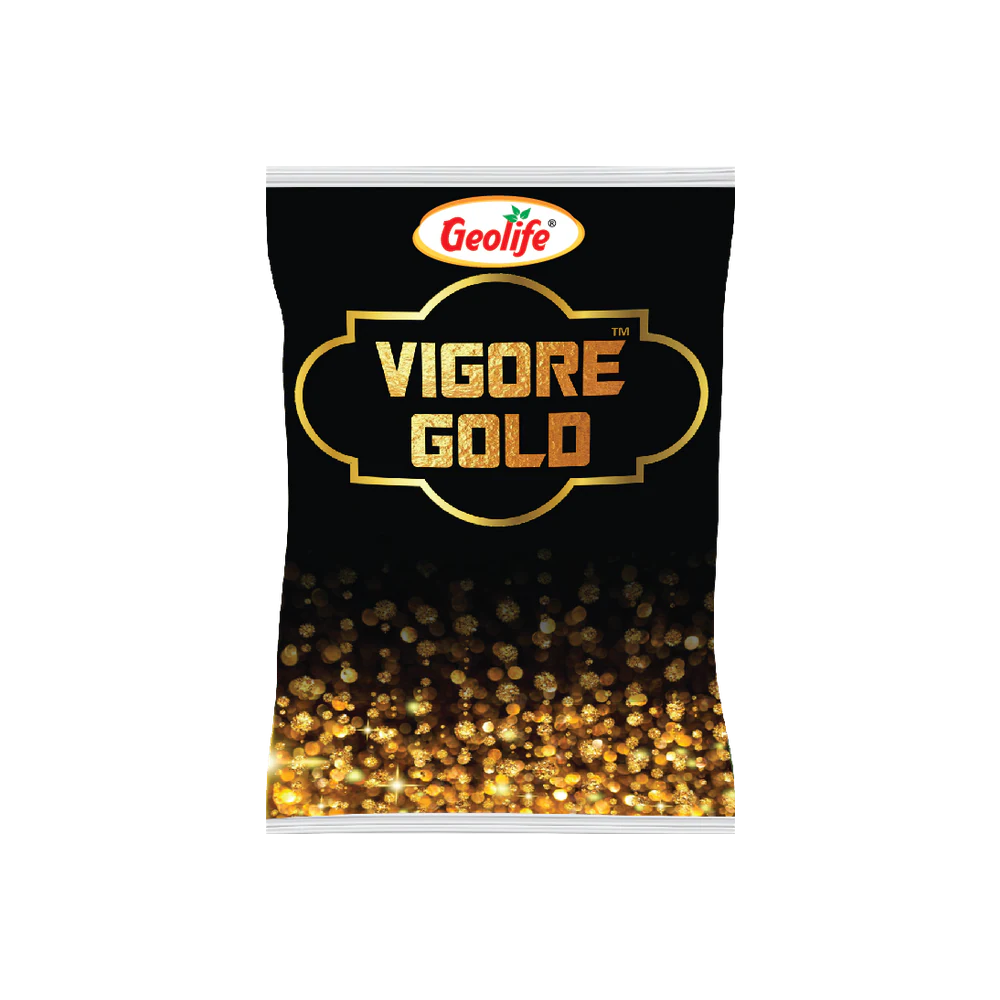 Vigore Gold
