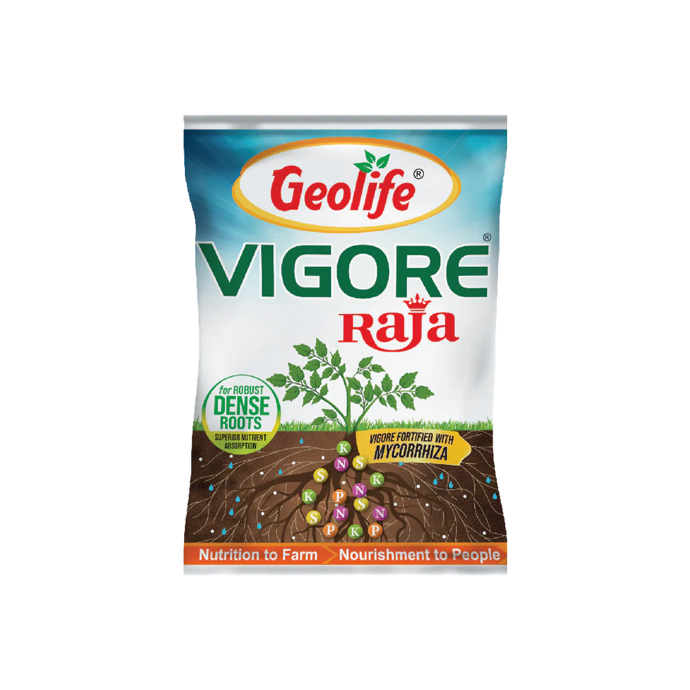 Vigore Raja pack