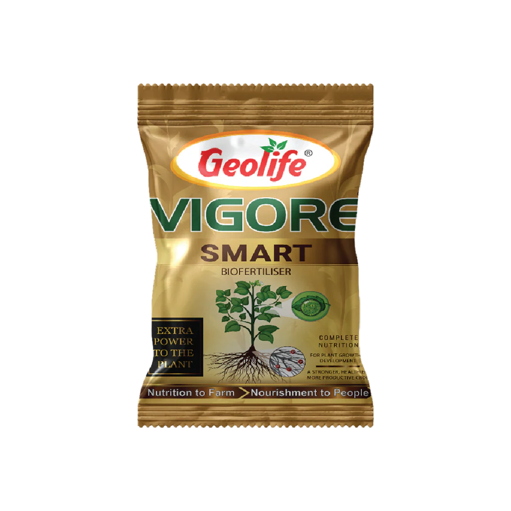 Vigore Smart pack