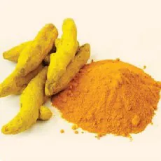 Curcuma longa