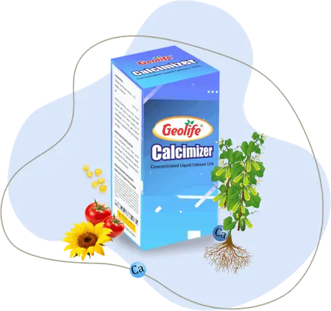 Calcimizer