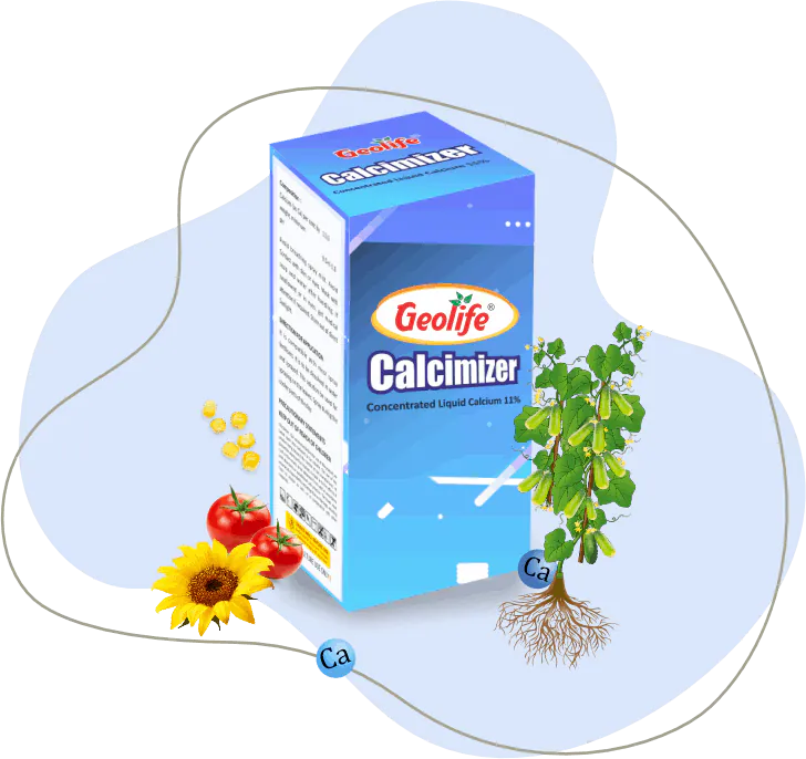 Calcimizer