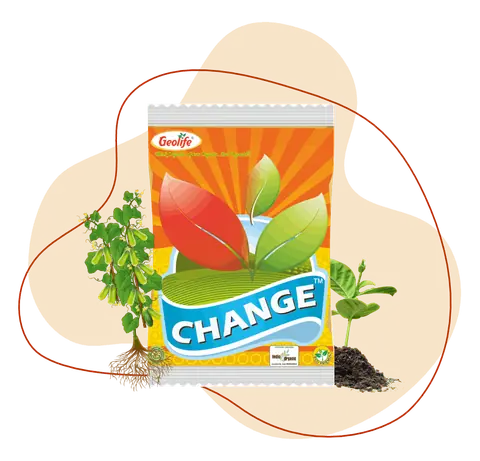 Change