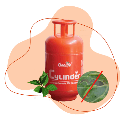 Cylinder