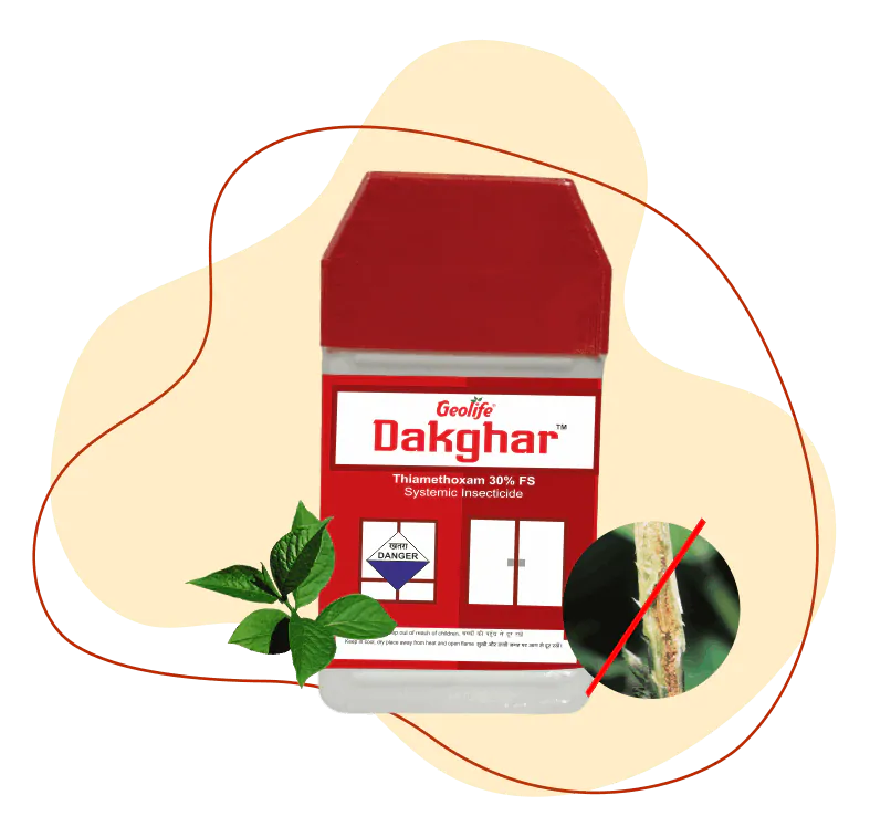 Dakghar