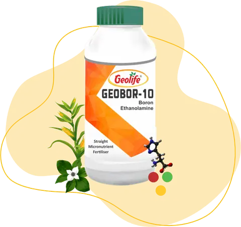 Geobor-10