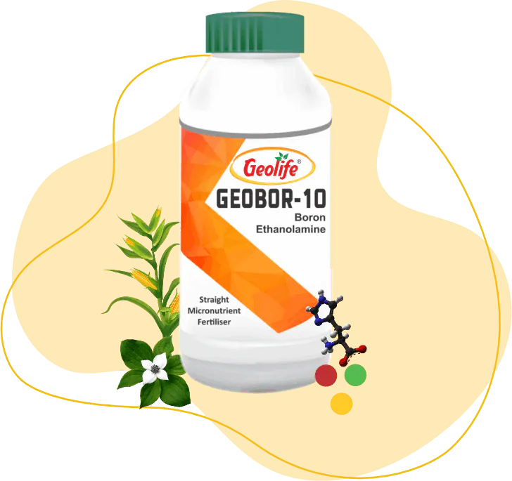 Geobor-10