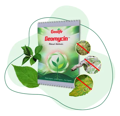 Geomycin