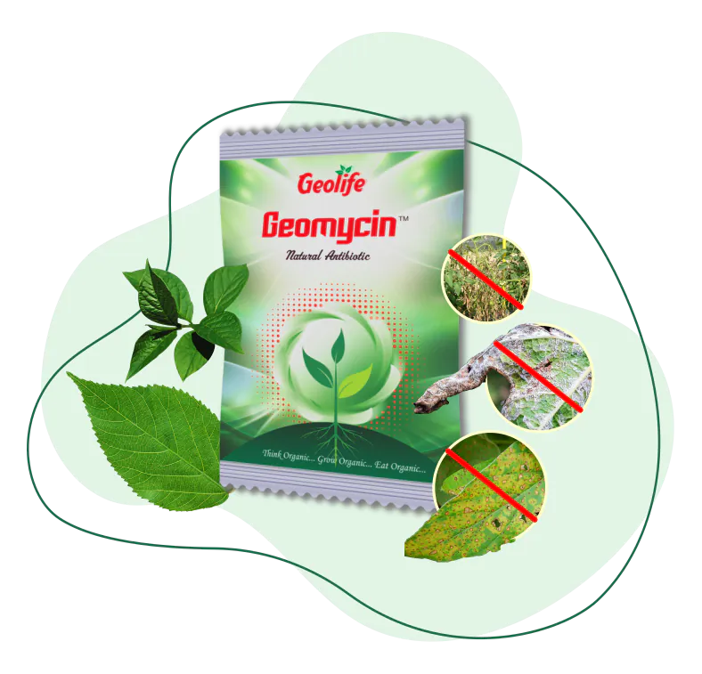Geomycin