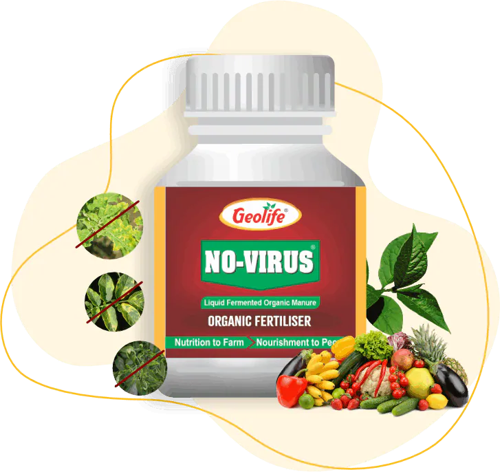 No Virus