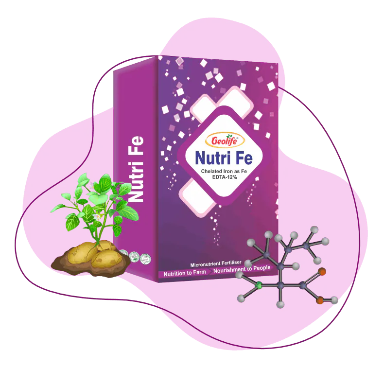 Nutri Fe (12%)