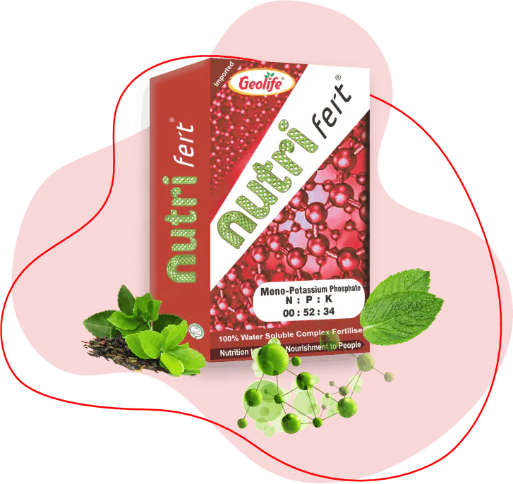 Nutri Fert (00:52:34)