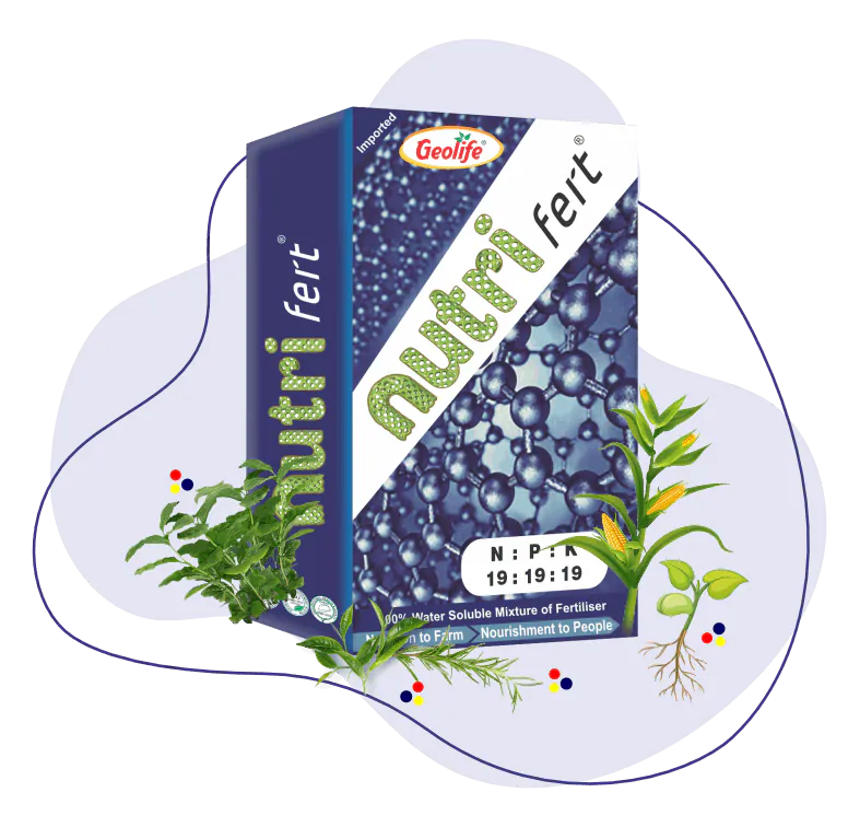 Nutri Fert (19:19:19)