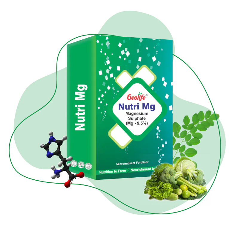Nutri Mg (9.5%)