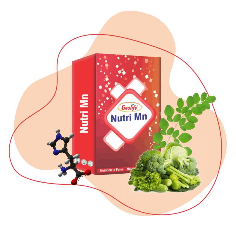 Nutri Mn (26%)