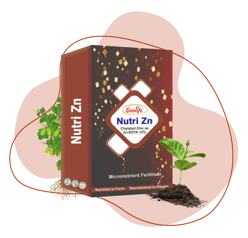 Nutri Zn (12%)