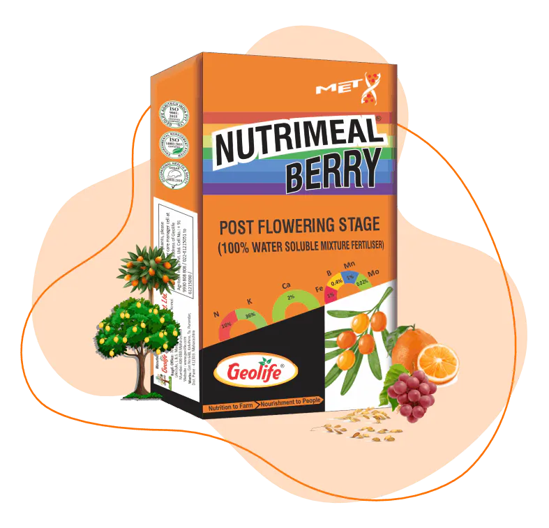 Nutrimeal Berry