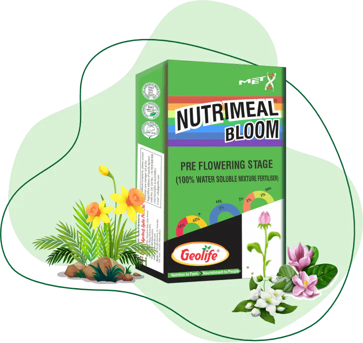 Nutrimeal Bloom