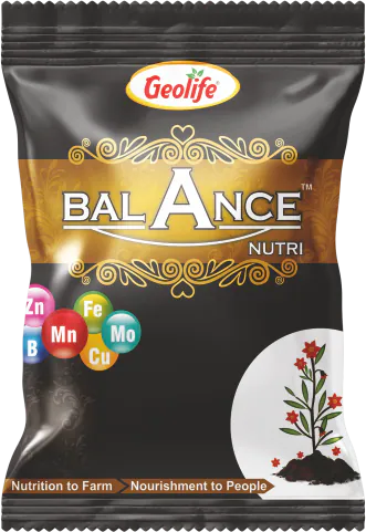 Balance Nutri pack