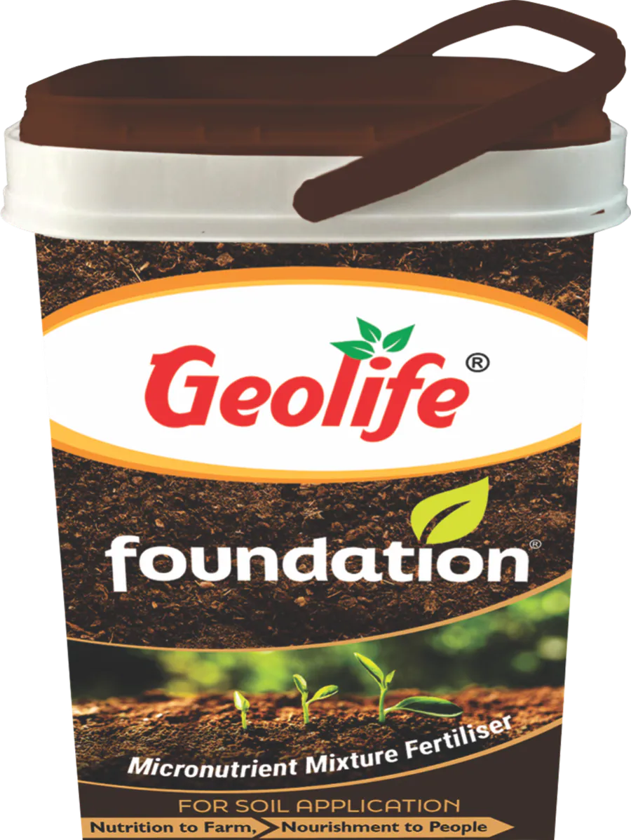 Foundation pack