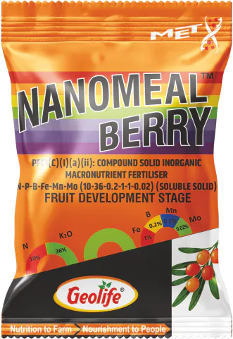 Nanomeal Berry pack