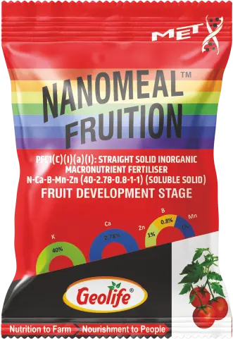 Nanomeal Fruition pack